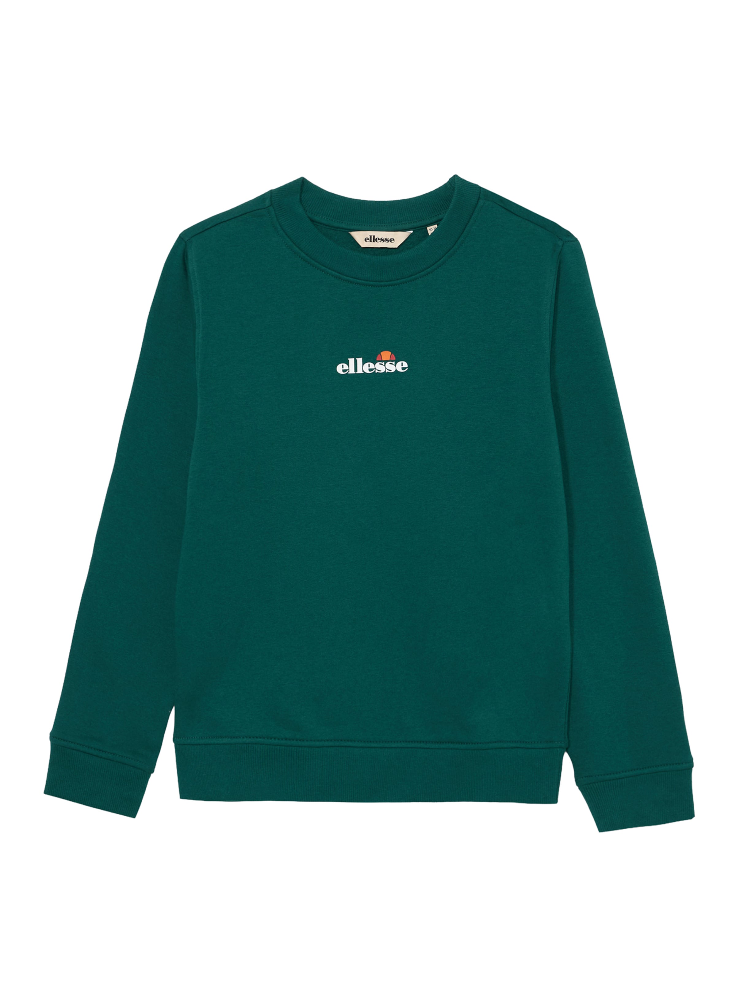 ELLESSE Свитшот 'Fairros' в Зеленый: спереди