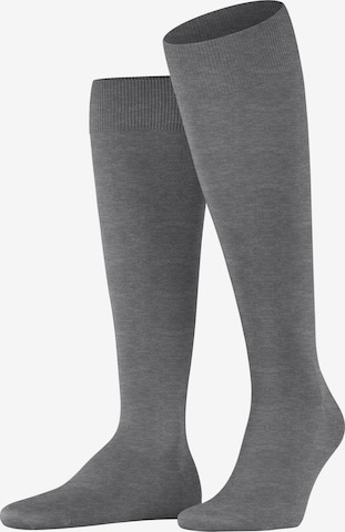 FALKE Knee High Socks 'ClimaWool' in Grey: front
