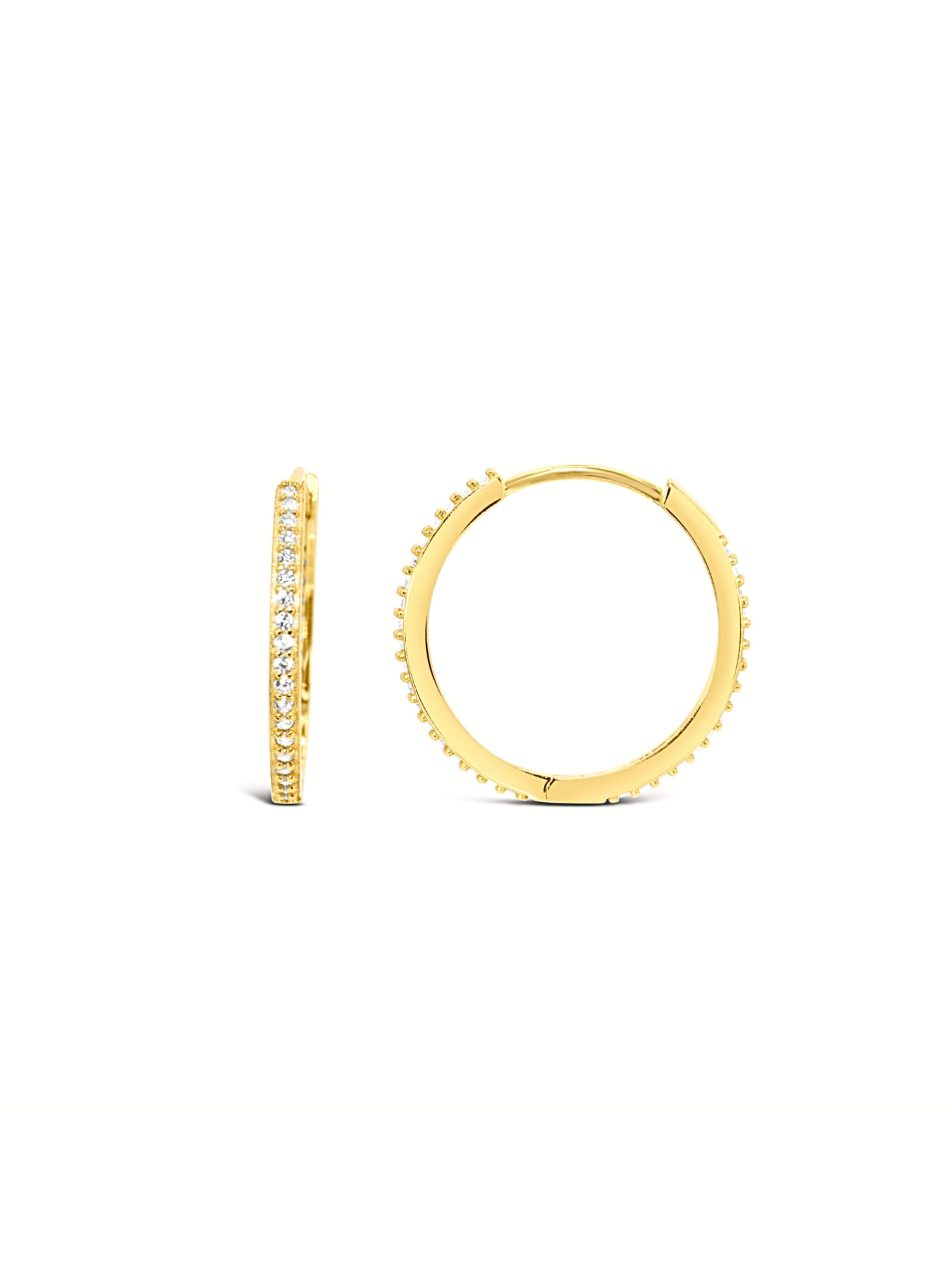 ARS-ARGENTI Earrings 'SEXY SKINNY HOOPS II gold' in Gold: front