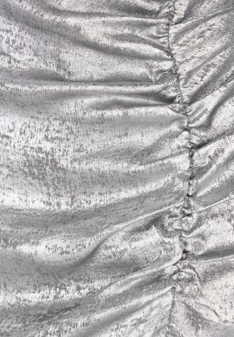 faina Skirt in Silver