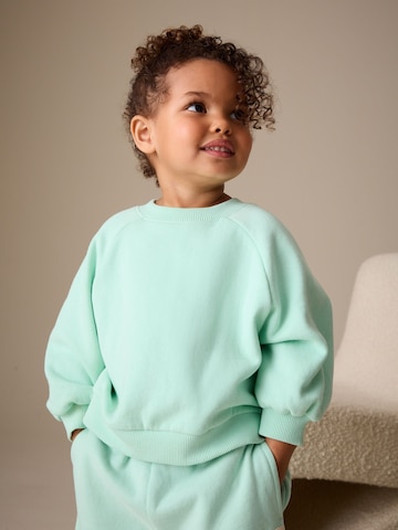 Next Sweatshirt in Groen: voorkant