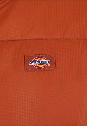 DICKIES Winter jacket 'Alatna' in Brown