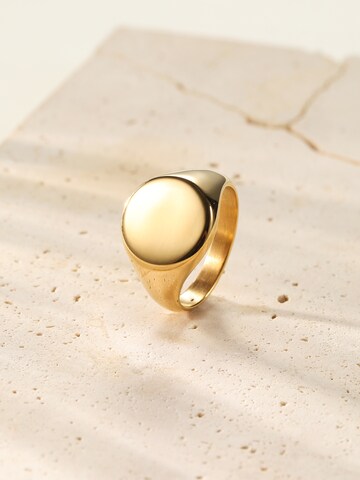 Anello 'Signet' di Hey Happiness in oro