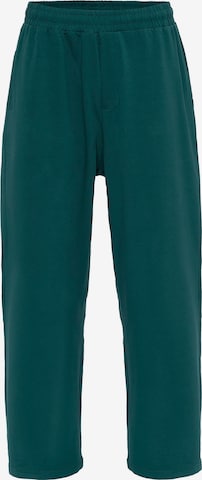 VAMOS CLO Housut värissä vihreä: etupuoli