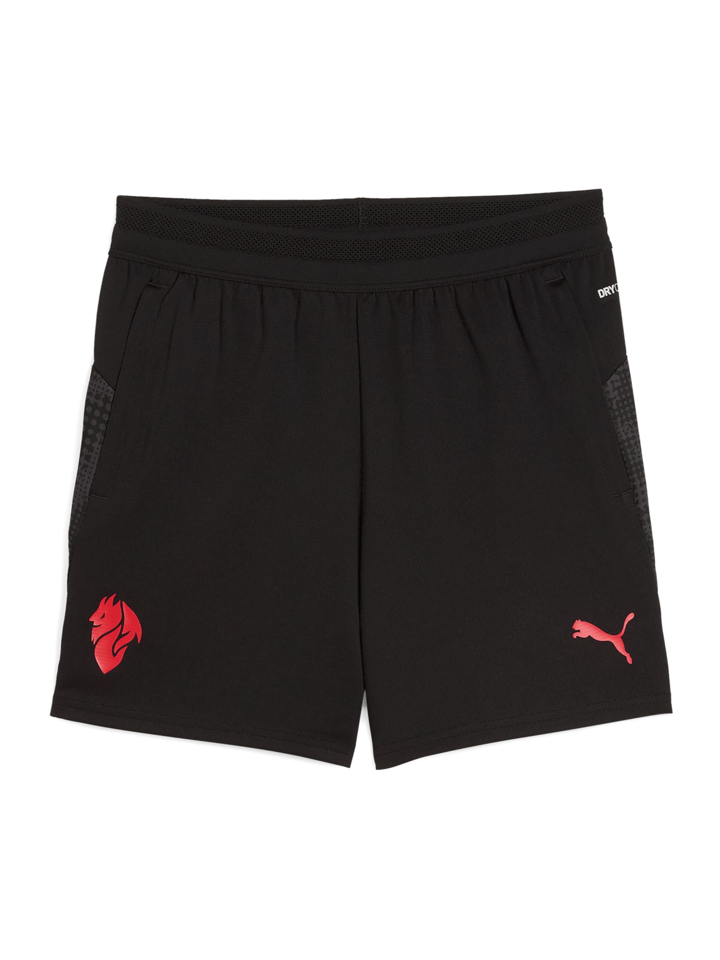 PUMA Normální Sportovní kalhoty – černá: přední strana