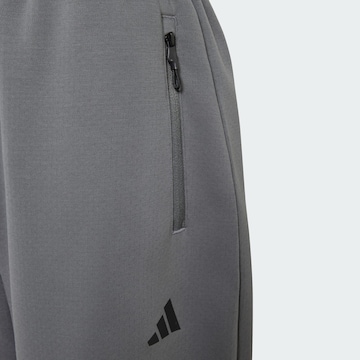 Loosefit Pantaloni sportivi 'Z.N.E.' di ADIDAS SPORTSWEAR in grigio