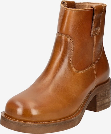 PAVEMENT Ankle Boots in Brown: front