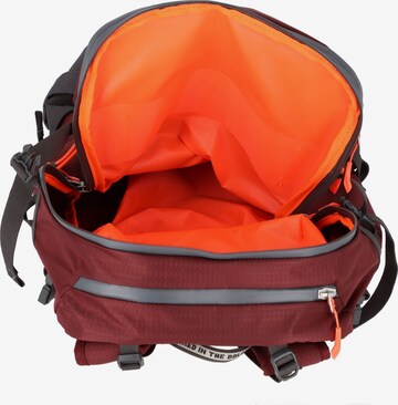 Sac à dos de sport 'Winter Mate' SALEWA en rouge