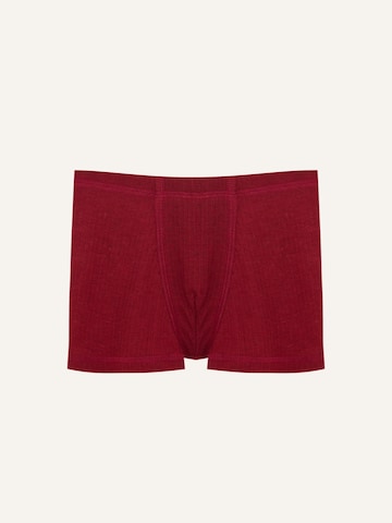 ZUBEK - Calzoncillo ''Wool'' en rojo: frente
