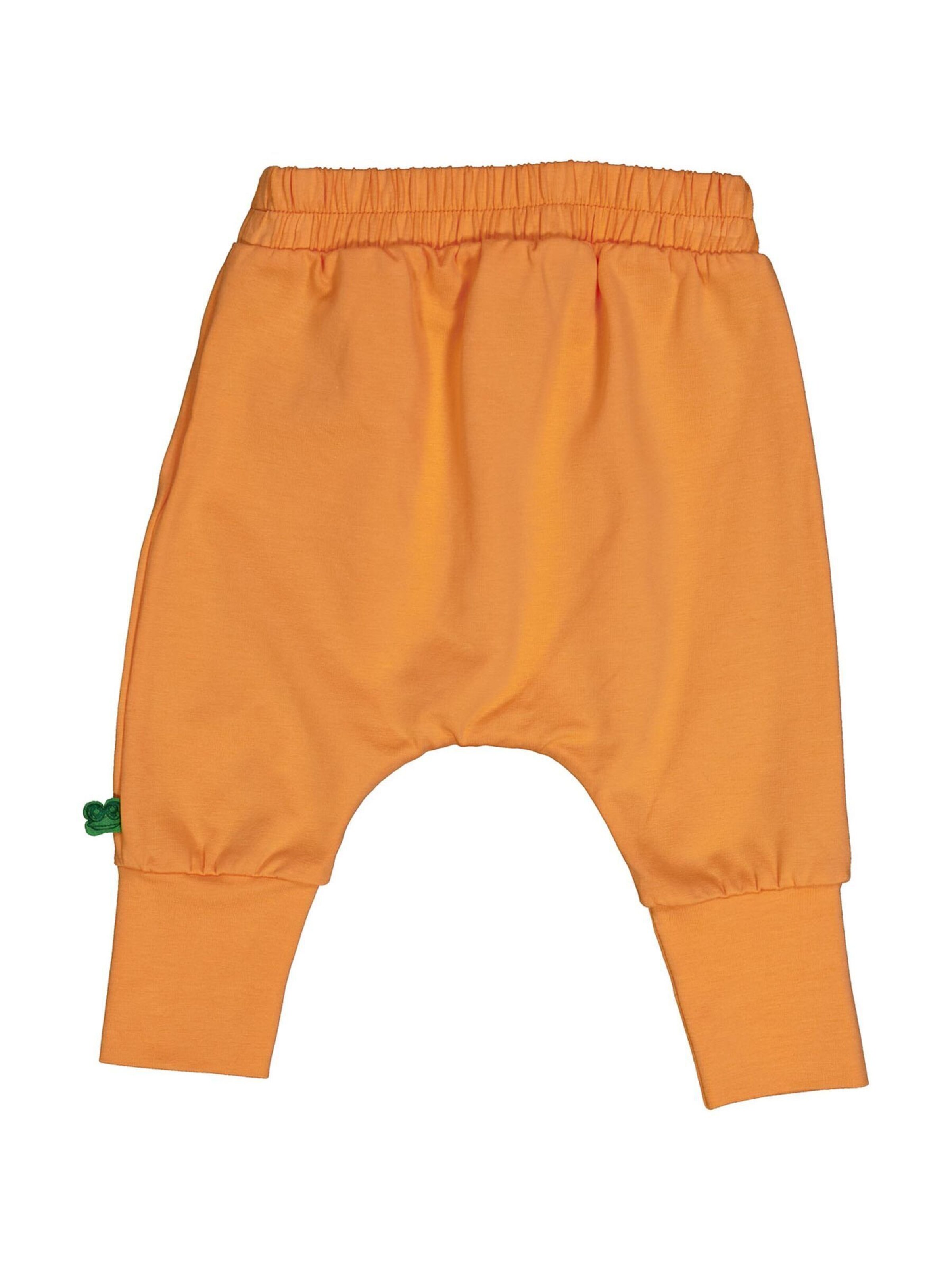 Fred's World by GREEN COTTON Regular Broek in Lila