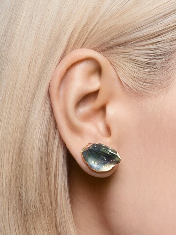 Swarovski Earrings in Blue
