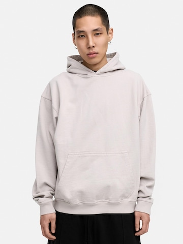 Daily Cotton Sweatshirt 'DCAUSTIN' in Grau: Vorderseite