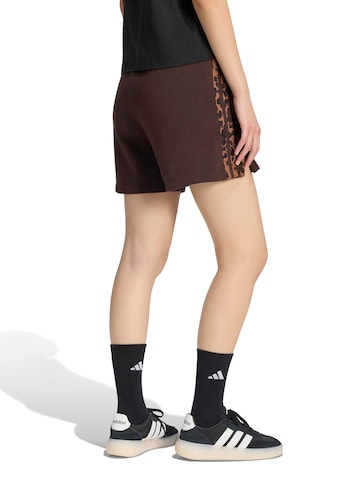 regular Pantaloni sportivi di ADIDAS SPORTSWEAR in marrone