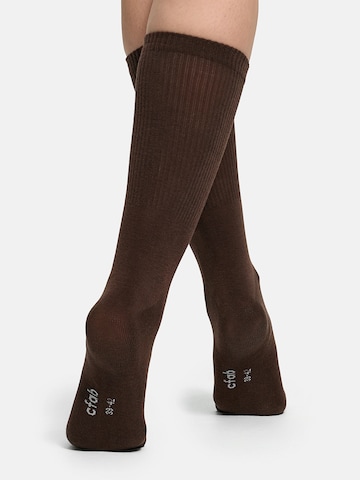 cfab (formerly creamy fabrics) Socks 'Lange Sportsocken | 4er Pack' in Brown