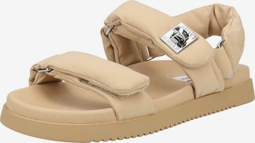 Sandalo con cinturino di STEVE MADDEN in beige: frontale