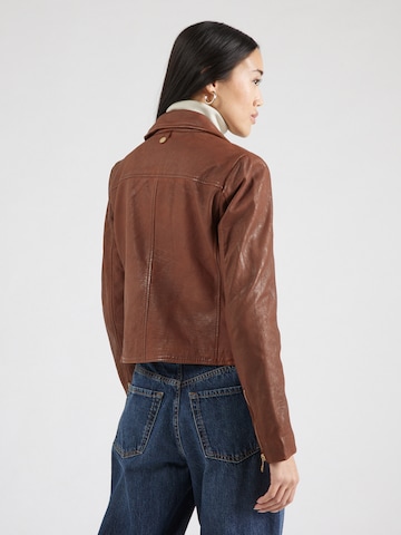 Mauritius - Chaqueta de entretiempo en marrón