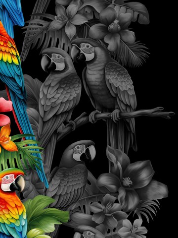 Hawaiihemdshop.de Regular fit Button Up Shirt 'Parrots Elegance' in Black