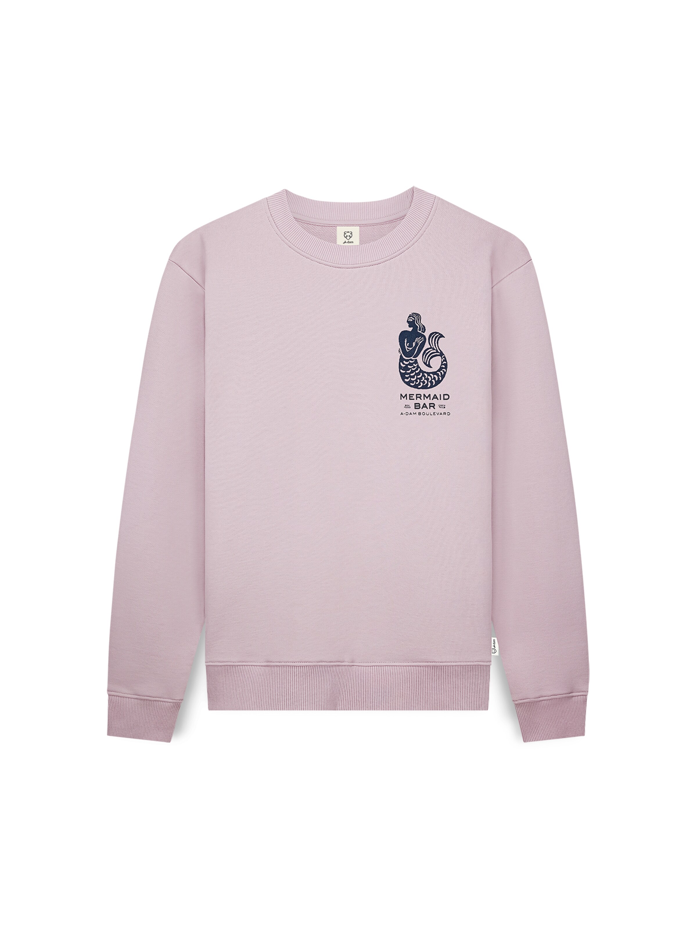 A-dam Sweatshirt in Pink: front