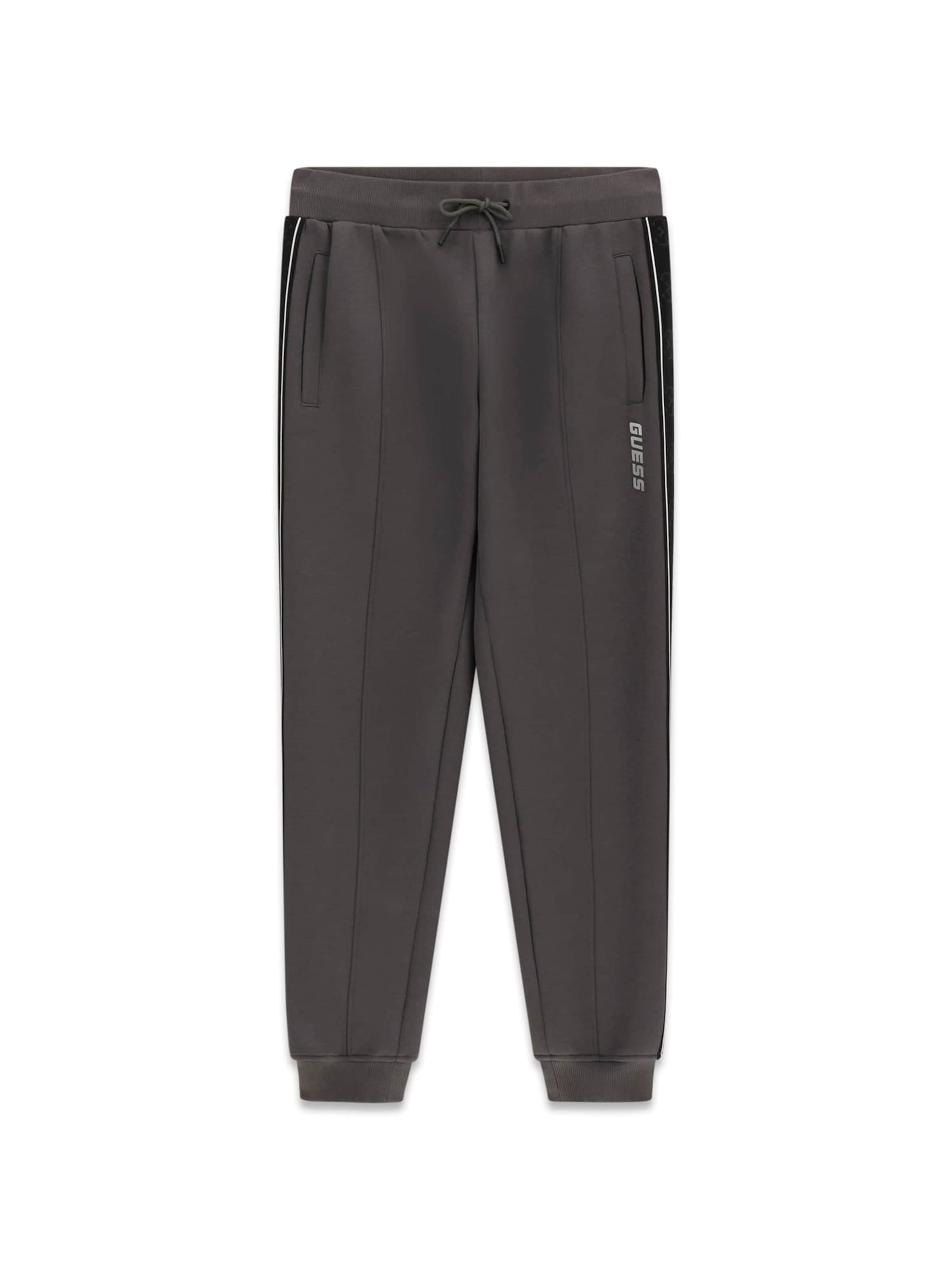 GUESS Pants in Grey: front