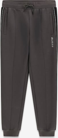 GUESS Pants in Grey: front