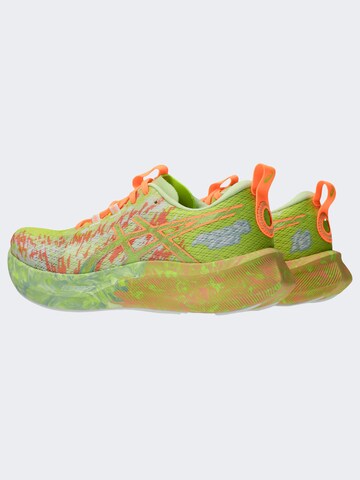 ASICS Laufschuh 'Noosa Tri 16' in Grün