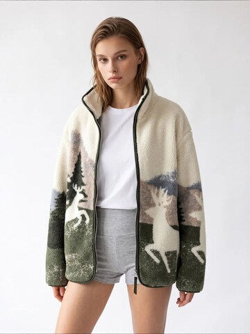 MixRay Sweatshirt 'Sweatshirts'‌‌‌‌‌ in Mischfarben: Vorderseite