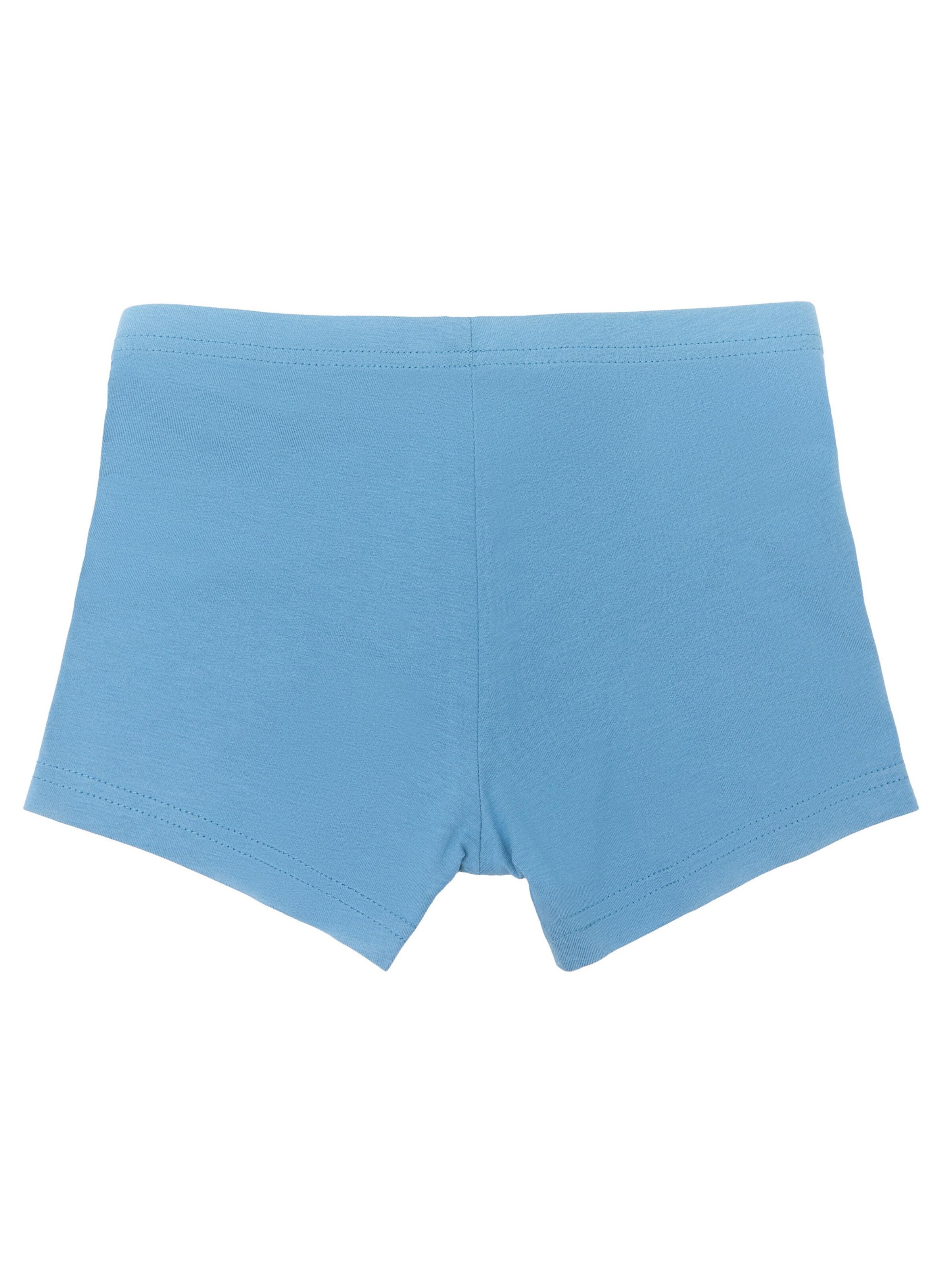 Albero Natur Underpants in Blue