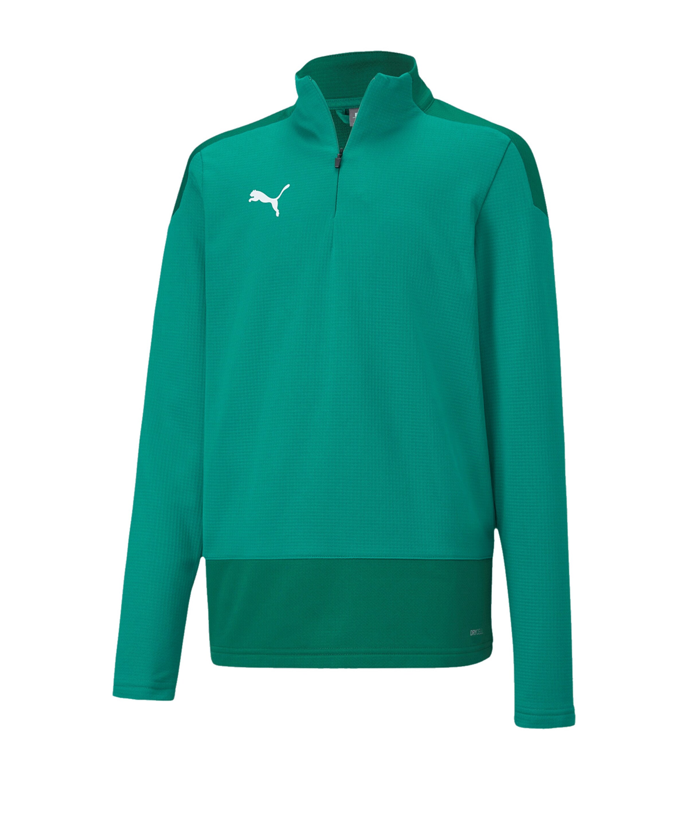 PUMA Sportsweatshirt 'Team Goal 23' in Grün: Vorderseite