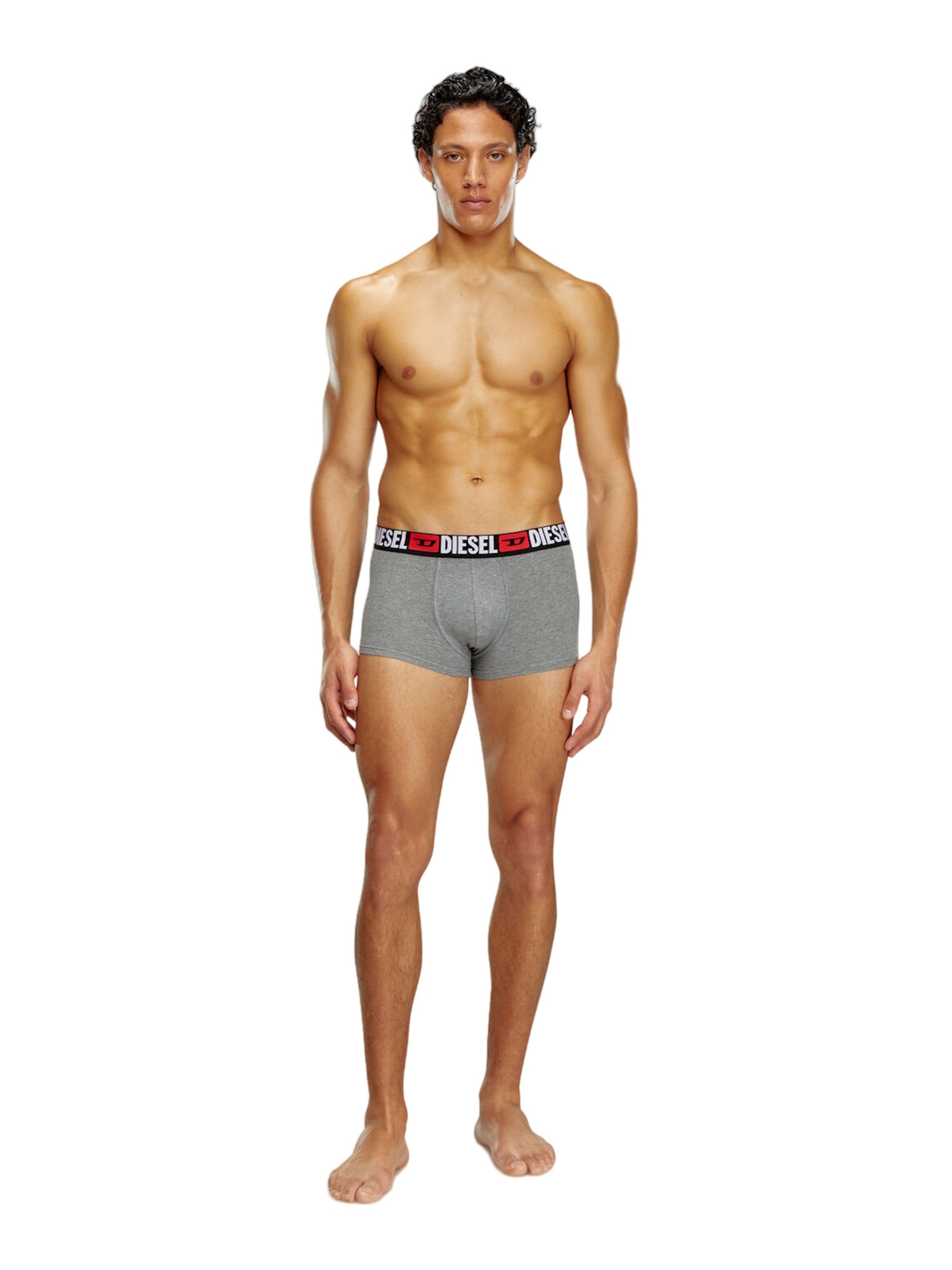 DIESEL Boksershorts 'UMBX-DAMIENTHREEPACK' i grå: forside