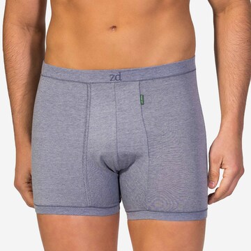 zd ZERO DEFECTS Boxer shorts in Grey: front