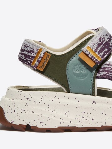 TIMBERLAND Strap sandal in Mixed colours