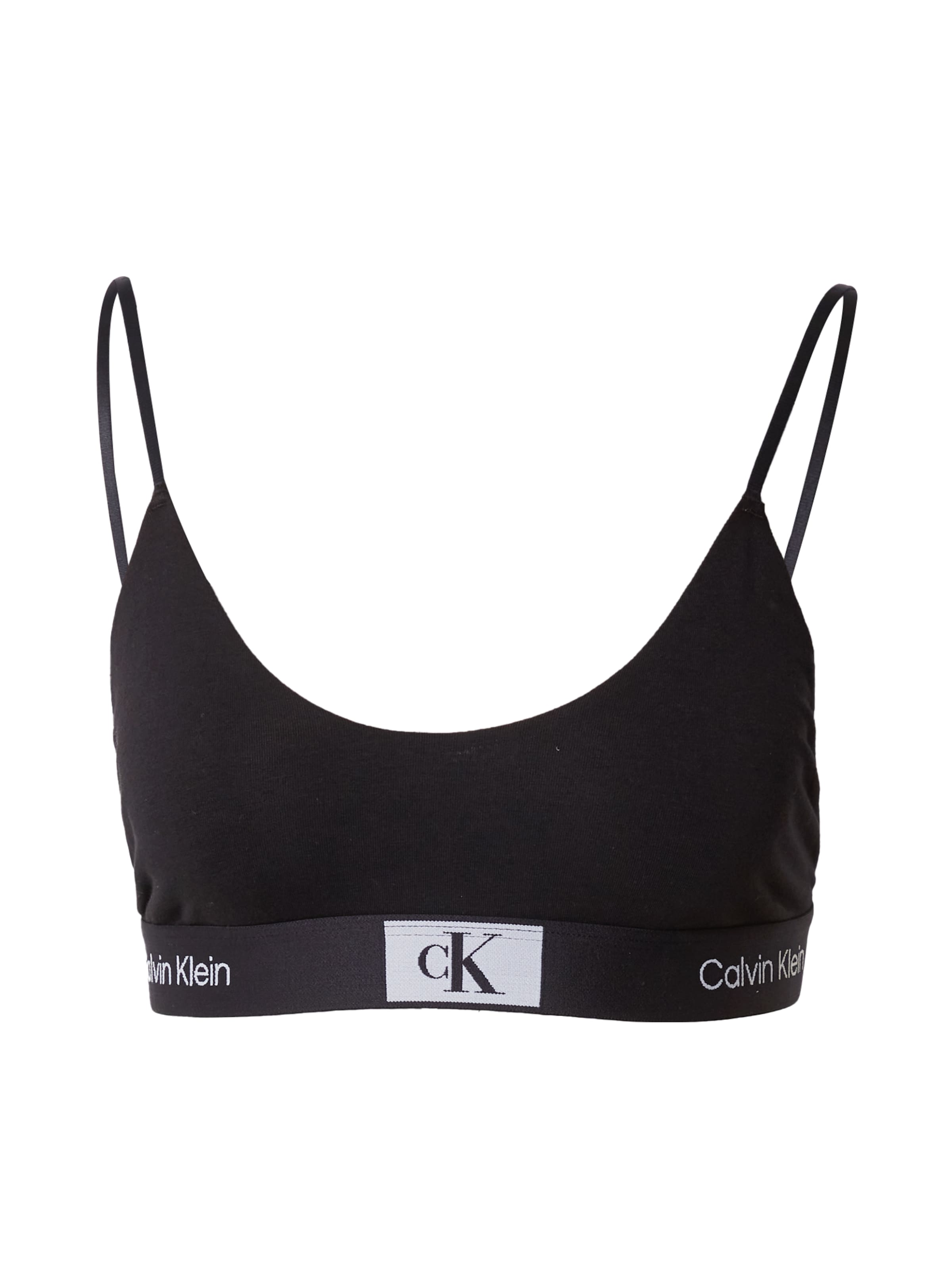 bustino calvin klein