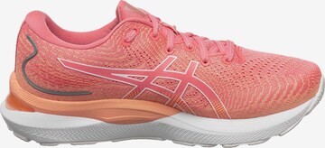 Chaussure de course 'Cumulus' ASICS en rose