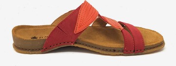 EL NATURALISTA Pantolette in Orange