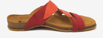 EL NATURALISTA Mules in Orange