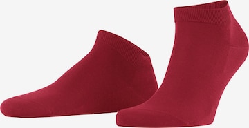 FALKE Socken 'ClimaWool' in Rot: Vorderseite