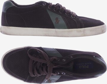 Polo Ralph Lauren Sneaker 43 in Braun: predná strana