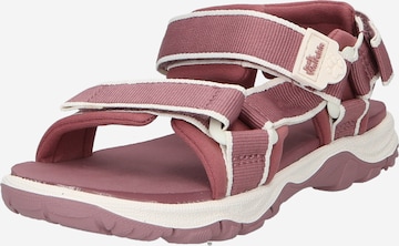 JACK WOLFSKIN Sandal 'Seven Seas 3' in Pink: front