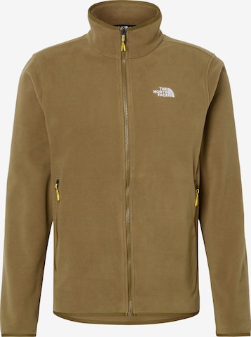THE NORTH FACE Toiminnallinen fleecetakki 'GLACIER' värissä beige: etupuoli