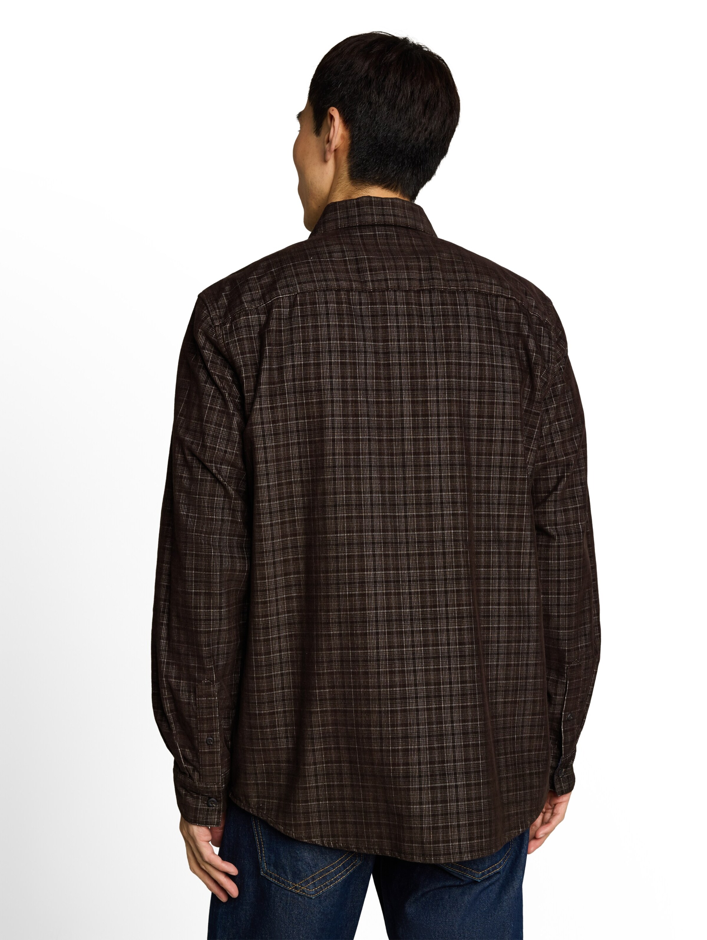 TOM TAILOR Regular fit Button Up Shirt in Brown