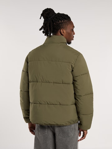 DICKIES Between-season jacket 'Summerdale' in Green