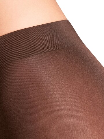 FALKE Strumpfhose 'Seidenglatt'‌‌‌‌‌‌‌‌‌ in Braun
