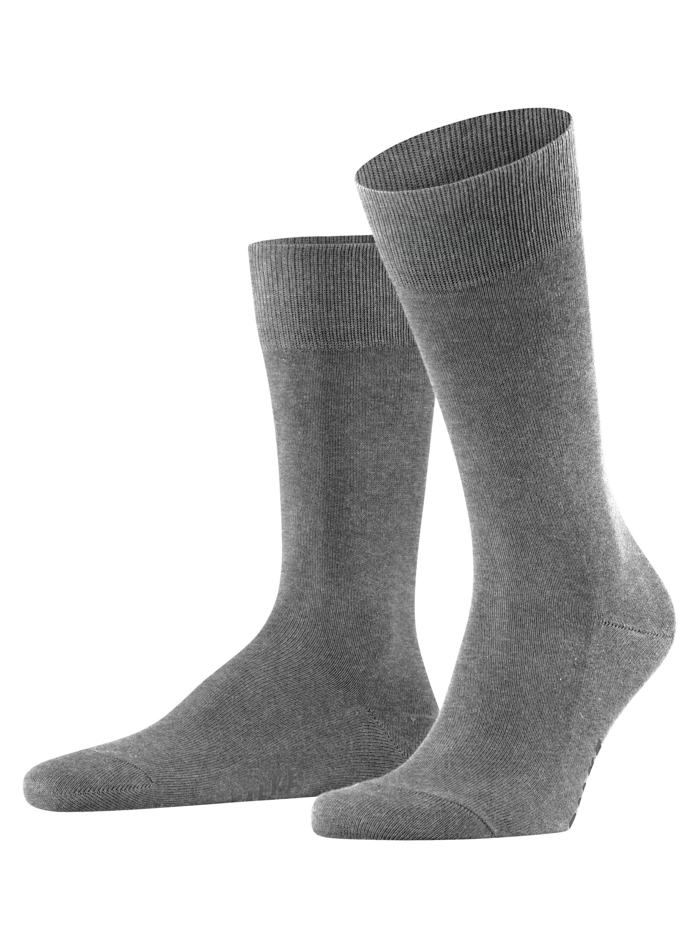 FALKE Socks 'Family' in Grey: front