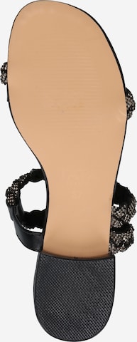 TATA Italia Strap Sandals in Black