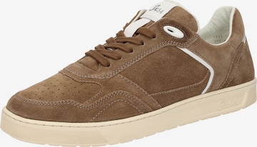 SIOUX Sneakers laag 'Tedroso-704' in Bruin: voorkant