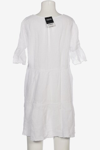 Velvet by Graham & Spencer Dress in S in White