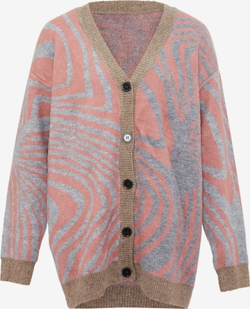 Cardigan FENIA en mélange de couleurs : devant