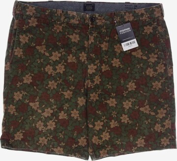 J.Crew Shorts in 38 in Green: front