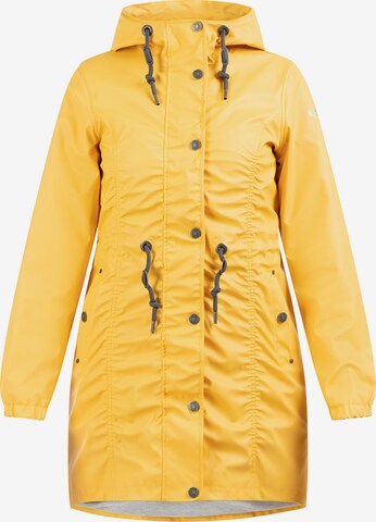 Usha Raincoat in Yellow: front