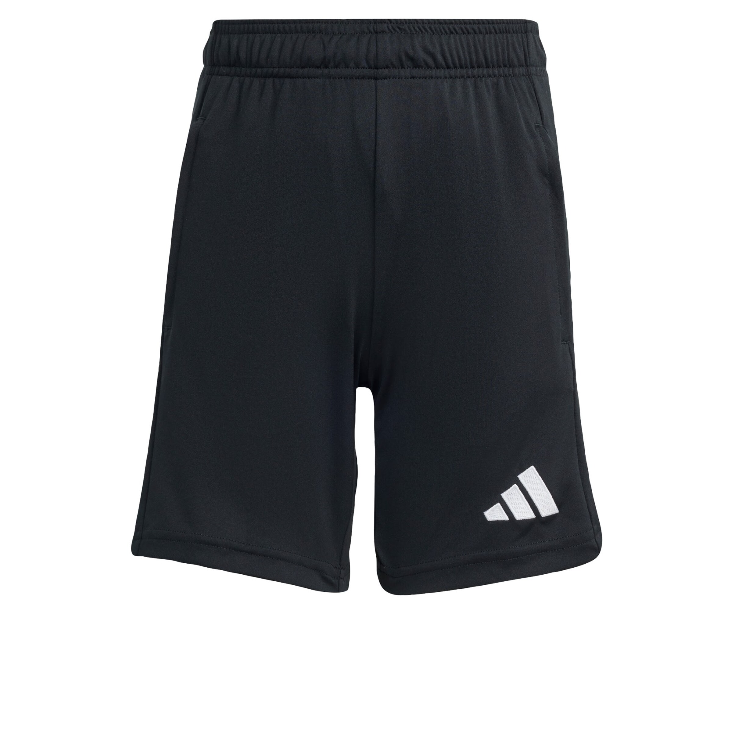 Regular Pantalon de sport 'Entrada26' ADIDAS PERFORMANCE en noir : devant